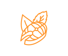 Пряно-ароматические смеси специй для посола рыбы и морепродуктов