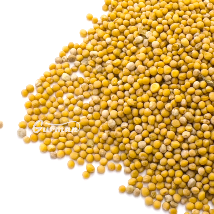 Гірчиця біла ціла 1 кг