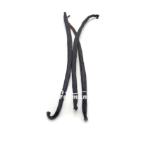 Ваніль в стручках 13-15 см 1 шт